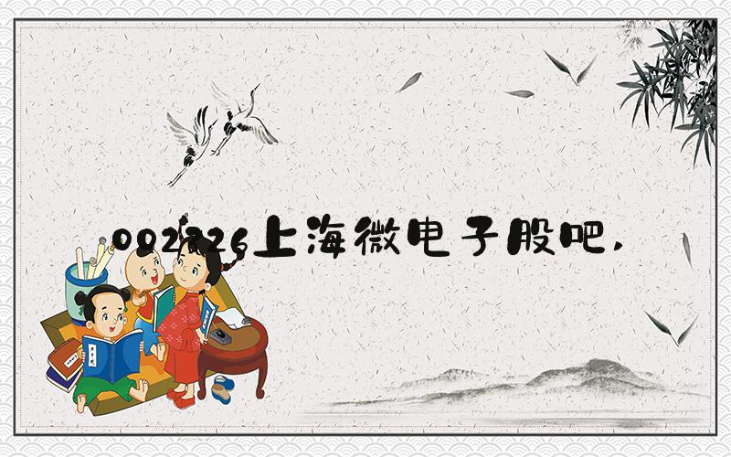 002326上海微电子股吧 