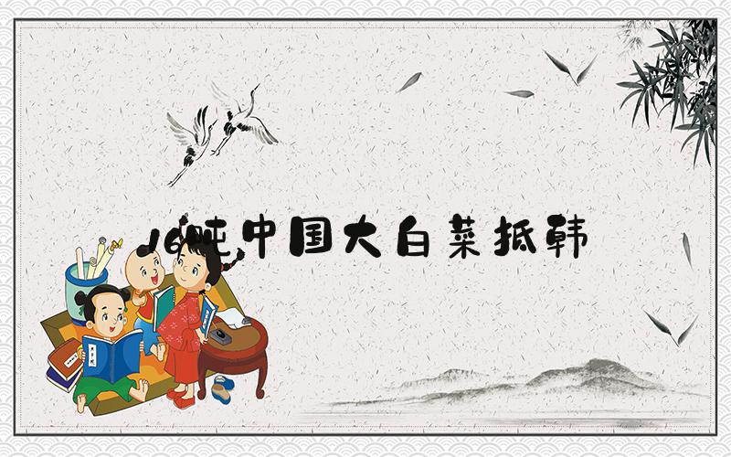 16吨中国大白菜抵韩