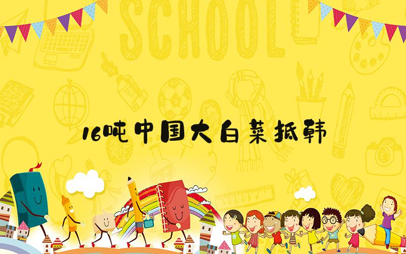 16吨中国大白菜抵韩