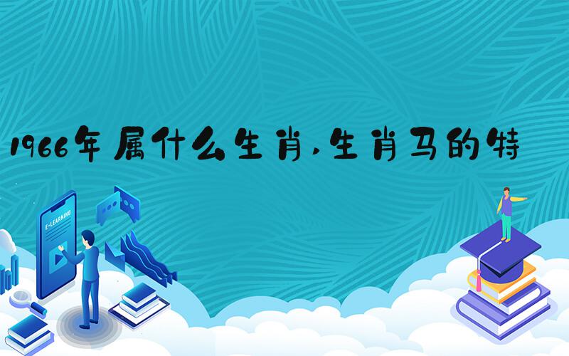 1966年属什么生肖 生肖马的特征