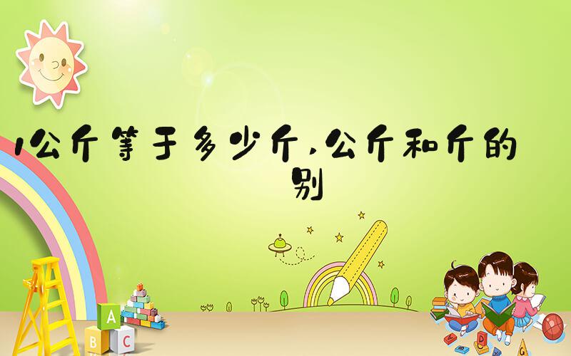 1公斤等于多少斤 公斤和斤的区别