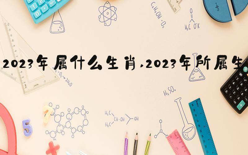 2023年属什么生肖 2023年所属生肖