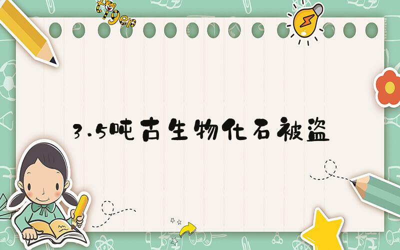 3.5吨古生物化石被盗
