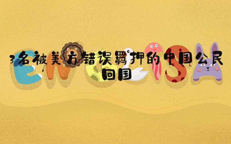 3名被美方错误羁押的中国公民回国