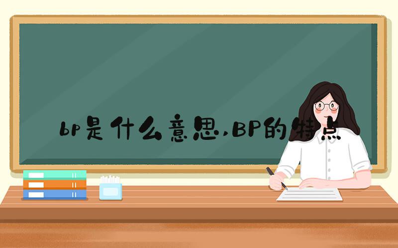 bp是什么意思 BP的特点