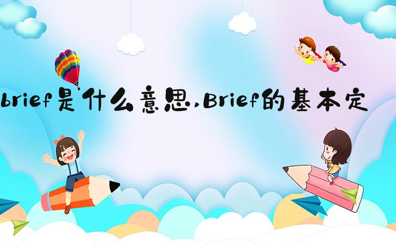 brief是什么意思 Brief的基本定义