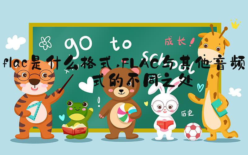 flac是什么格式 FLAC与其他音频格式的不同之处