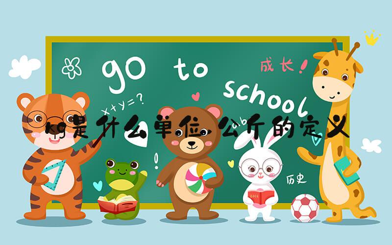 kg是什么单位 公斤的定义