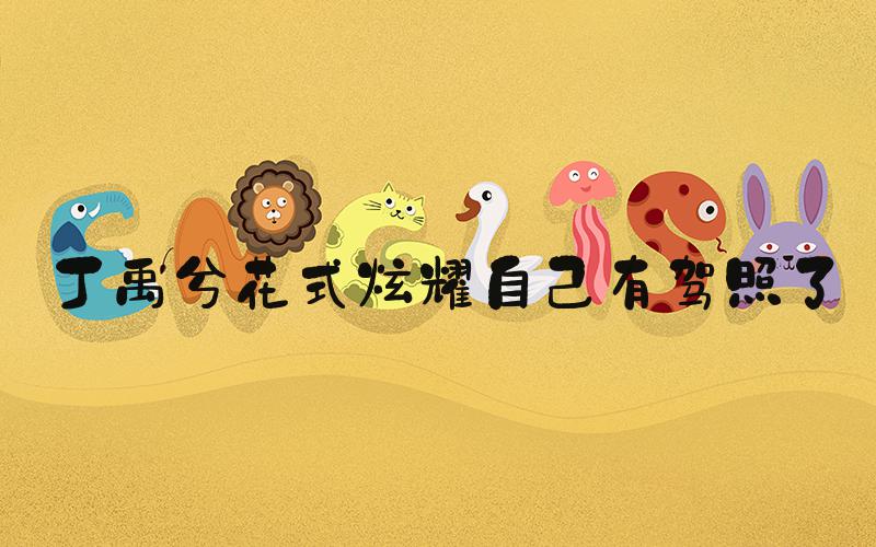 丁禹兮花式炫耀自己有驾照了