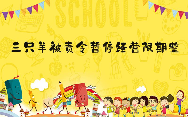 三只羊被责令暂停经营限期整改