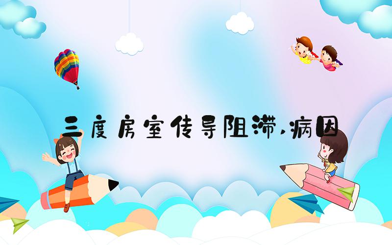三度房室传导阻滞 病因