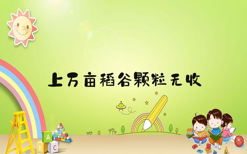 上万亩稻谷颗粒无收