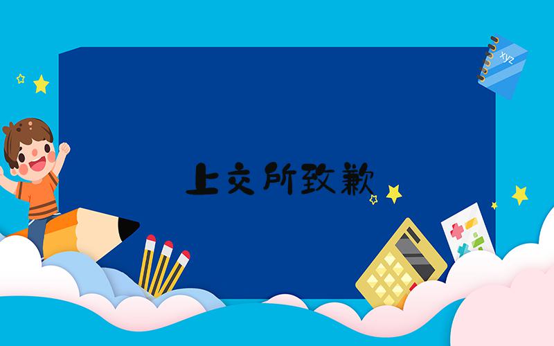 上交所致歉