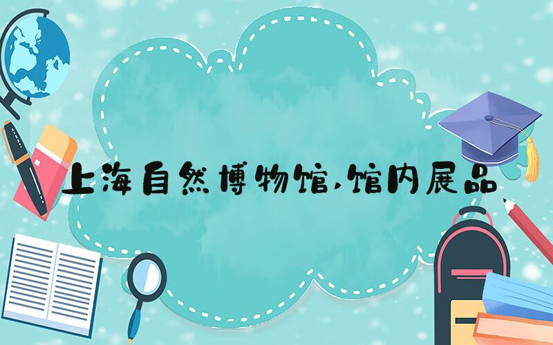 上海自然博物馆 馆内展品