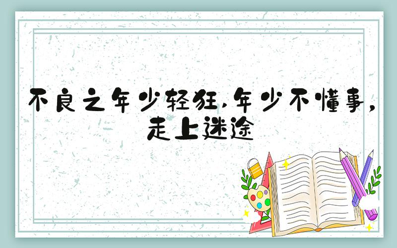 不良之年少轻狂 年少不懂事，走上迷途