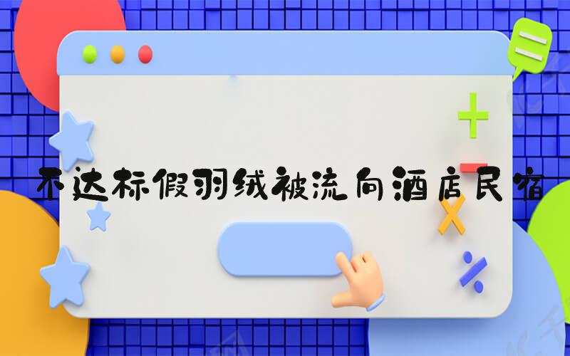 不达标假羽绒被流向酒店民宿