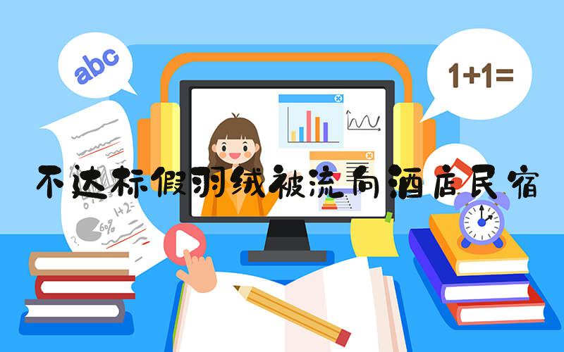不达标假羽绒被流向酒店民宿