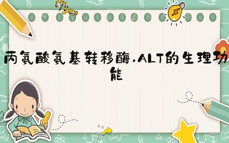 丙氨酸氨基转移酶 ALT的生理功能