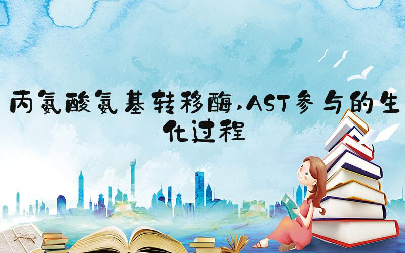 丙氨酸氨基转移酶 AST参与的生化过程