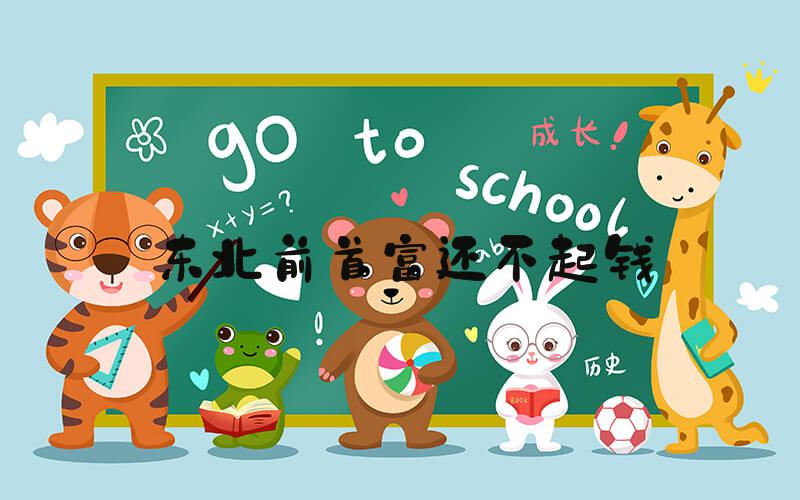 东北前首富还不起钱