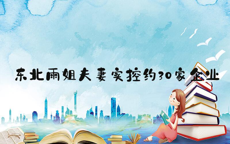 东北雨姐夫妻实控约30家企业
