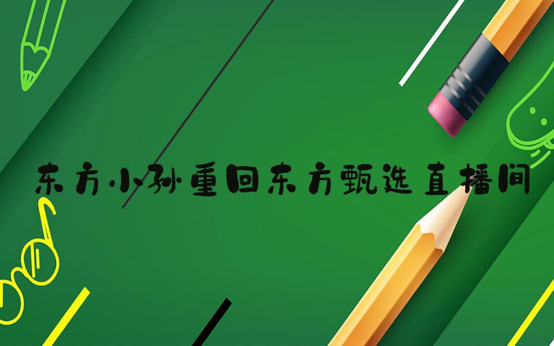 东方小孙重回东方甄选直播间