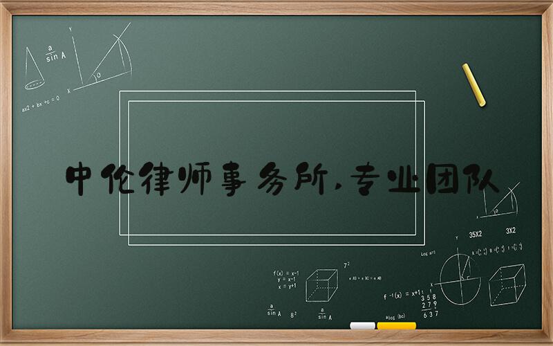 中伦律师事务所 专业团队
