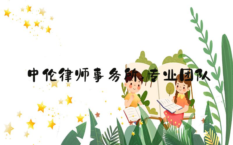 中伦律师事务所 专业团队