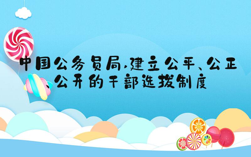 中国公务员局 建立公平、公正、公开的干部选拔制度