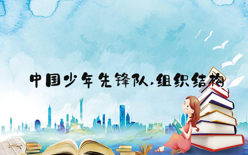 中国少年先锋队 组织结构