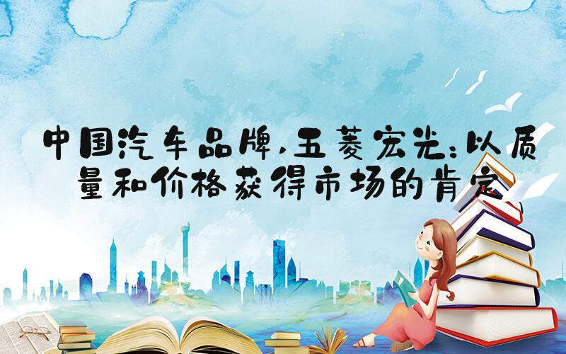 中国汽车品牌 五菱宏光：以质量和价格获得市场的肯定