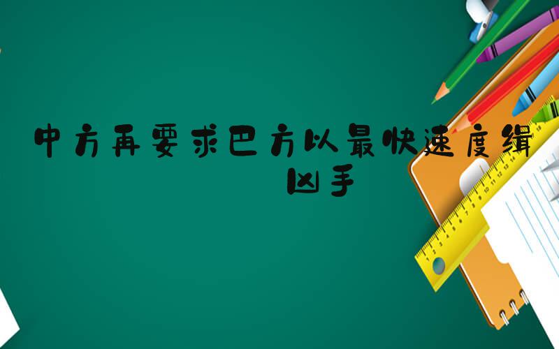 中方再要求巴方以最快速度缉拿凶手