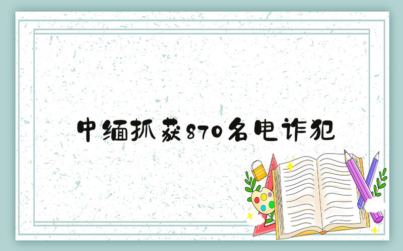 中缅抓获870名电诈犯