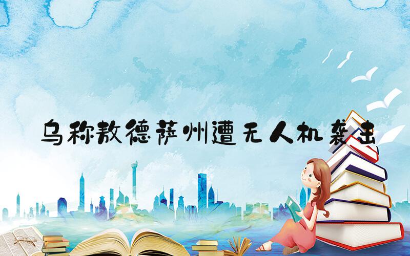 乌称敖德萨州遭无人机袭击