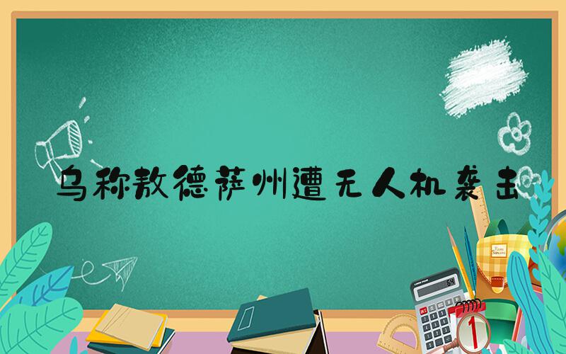乌称敖德萨州遭无人机袭击