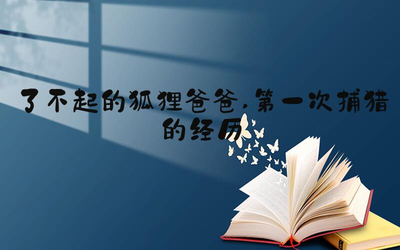 了不起的狐狸爸爸 第一次捕猎的经历