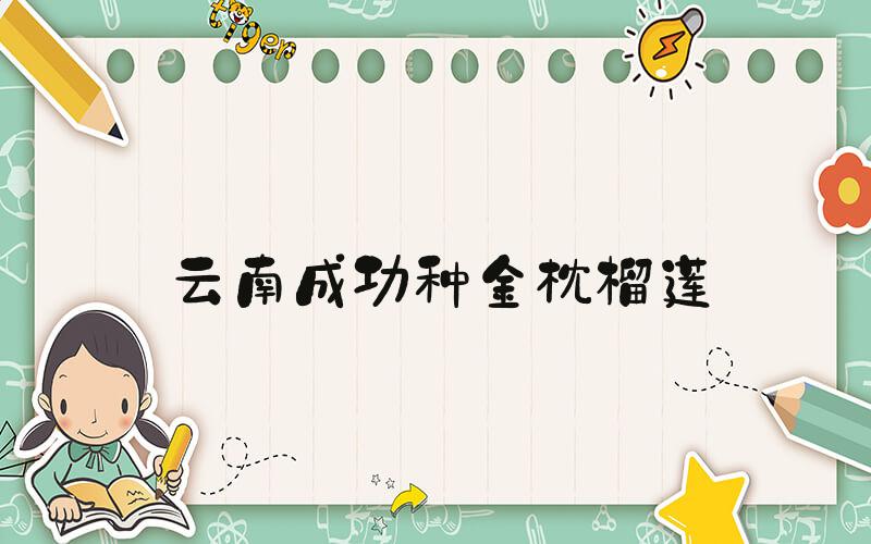云南成功种金枕榴莲