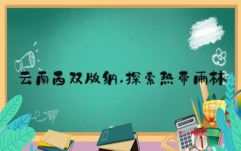 云南西双版纳 探索热带雨林