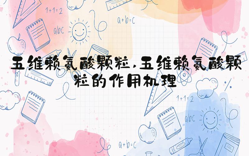 五维赖氨酸颗粒 五维赖氨酸颗粒的作用机理