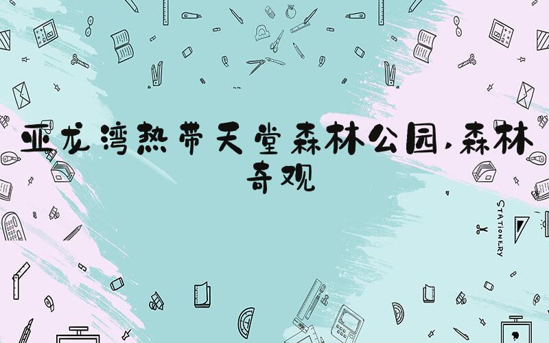 亚龙湾热带天堂森林公园 森林奇观
