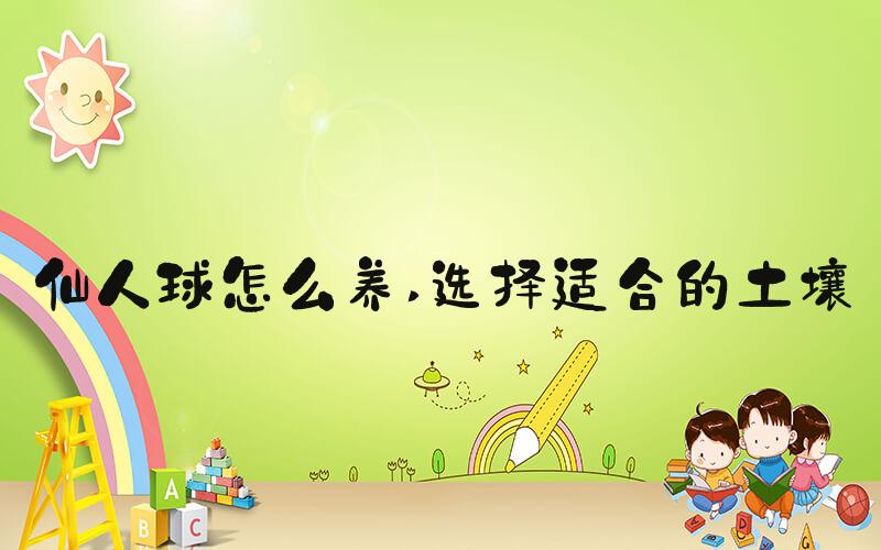 仙人球怎么养 选择适合的土壤