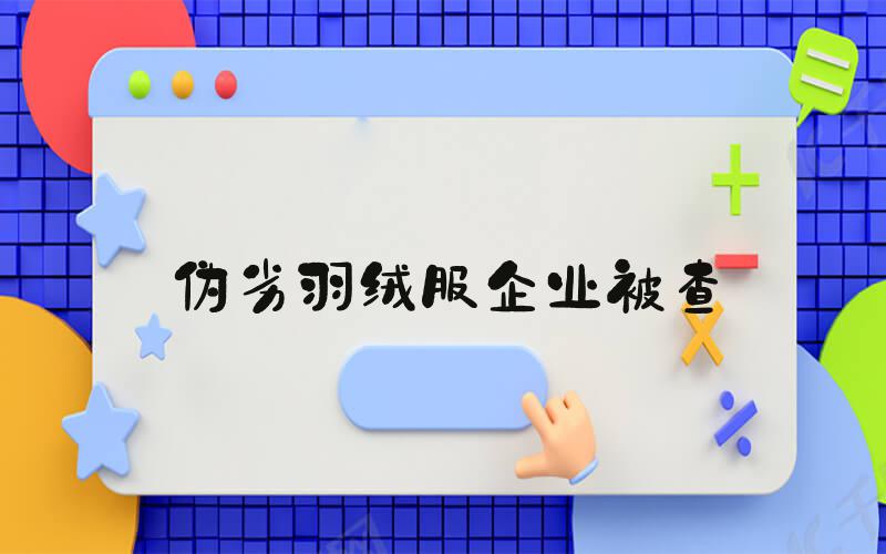 伪劣羽绒服企业被查