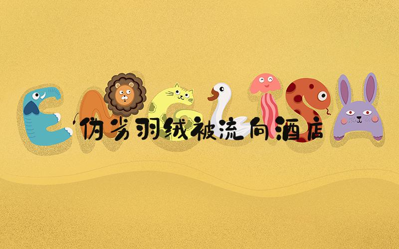 伪劣羽绒被流向酒店