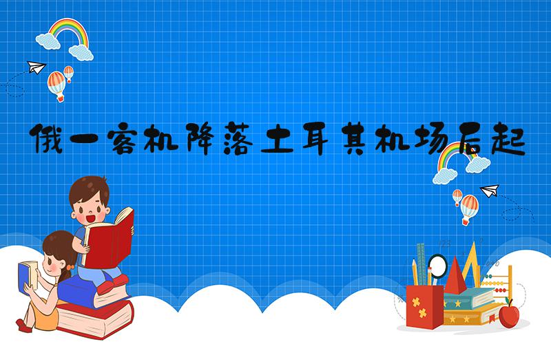 俄一客机降落土耳其机场后起火
