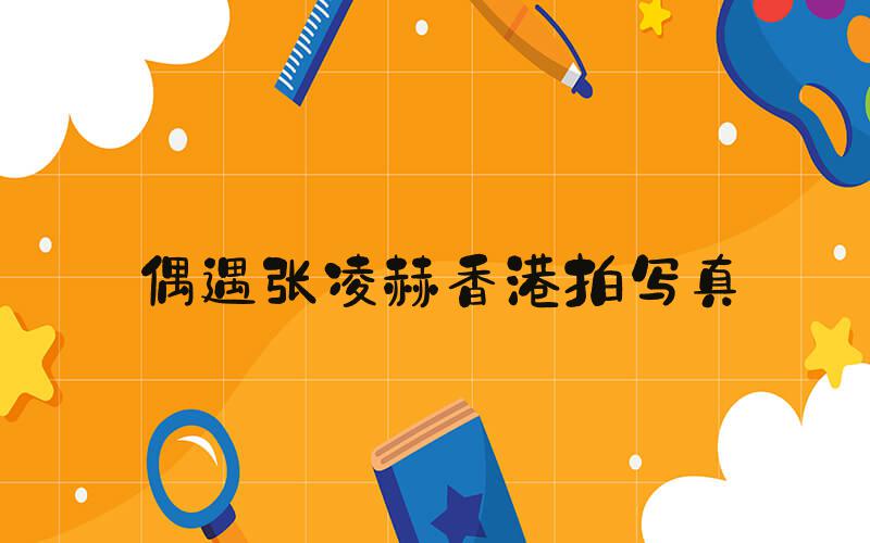 偶遇张凌赫香港拍写真