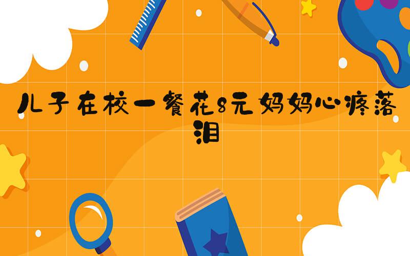 儿子在校一餐花8元妈妈心疼落泪
