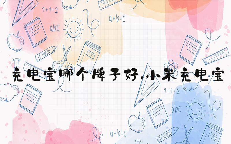 充电宝哪个牌子好 小米充电宝