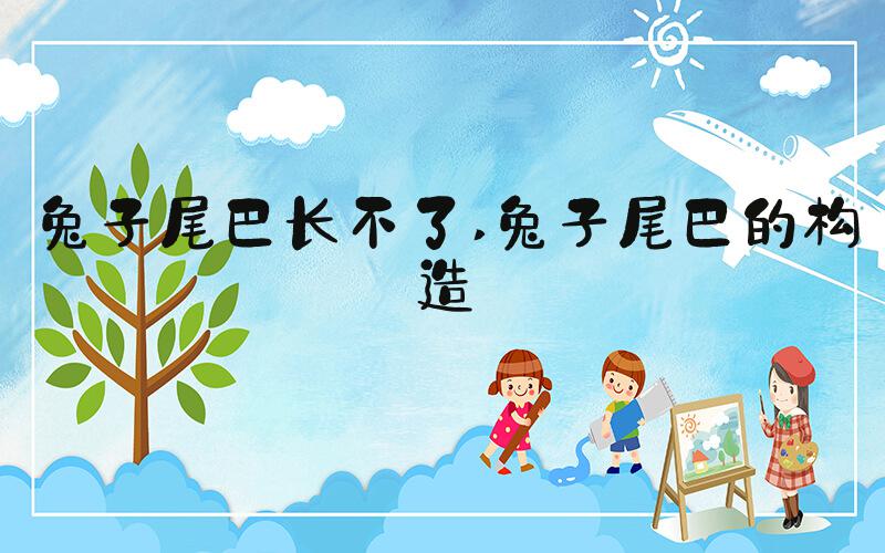兔子尾巴长不了 兔子尾巴的构造