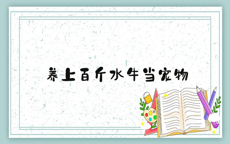 养上百斤水牛当宠物