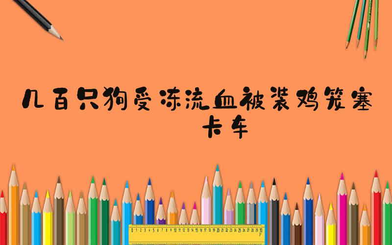 几百只狗受冻流血被装鸡笼塞满卡车
